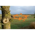 Geluksvogel Kuiken drietal/ Chicks, Roest Metaal, 1343, 336x137x2mm