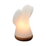 Himalaya Salt Dreams, ZoutLamp Engel op Houten voet, Wit, 46231, ca19 cm hoog
