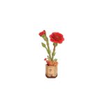 Robotime, DIY Houten Bloem, Red Carnation/Rode Anjer, TW052, 12x8x22cm