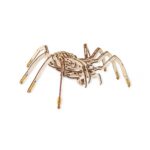 Eco Wood Art (EWA) 3D Mechanische Houten Puzzel Spin/ Spider, 488, 24x35x10cm
