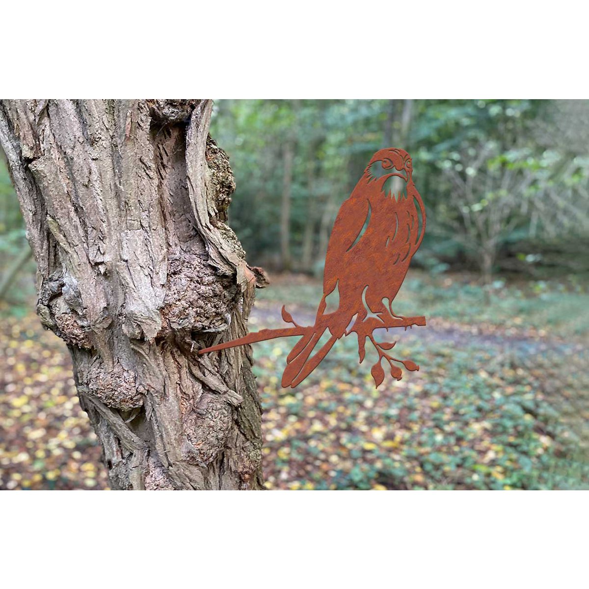 Geluksvogel Havik/ Hawk 1309 255 mm breed - 2 mm dik - Afbeelding 6