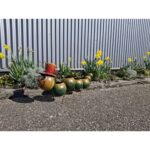 Plantenbak Rups, Metaal, Tuindecoratie, Art Bizniz, BW24110, Rood, 82x20x38xcm