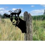 Kiekeboe Geit Gijs/ Goat, 141625, Zwart, 28,5x23,3x0,2cm