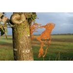 Geluksvogel Familie Specht/ Woodpecker, Roest metaal, 1344, 289x227x2mm